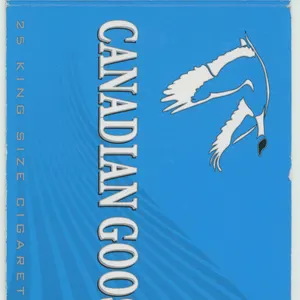 Canadian Goose_1.jpg