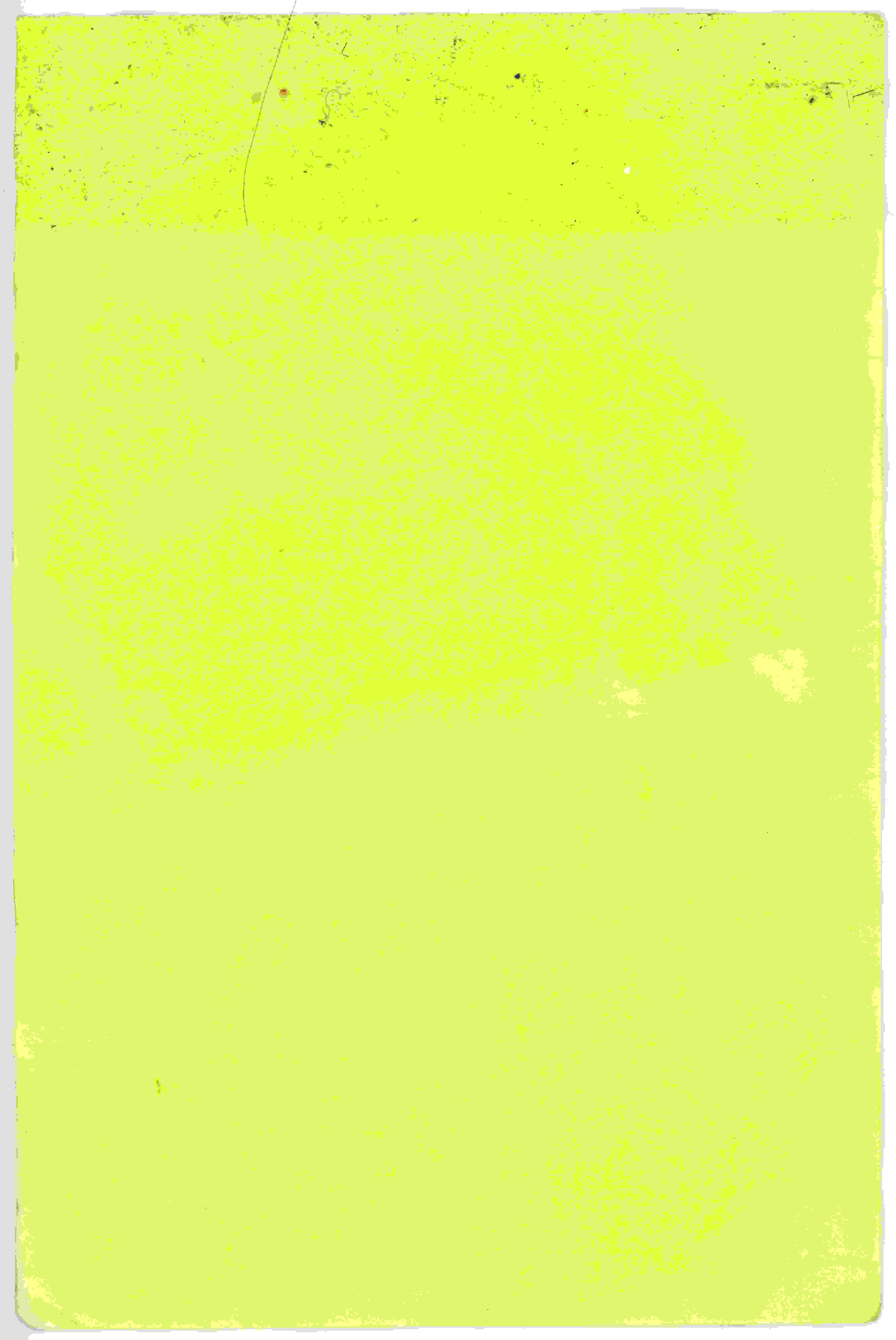 Note (phone numbers 02)_2.jpg