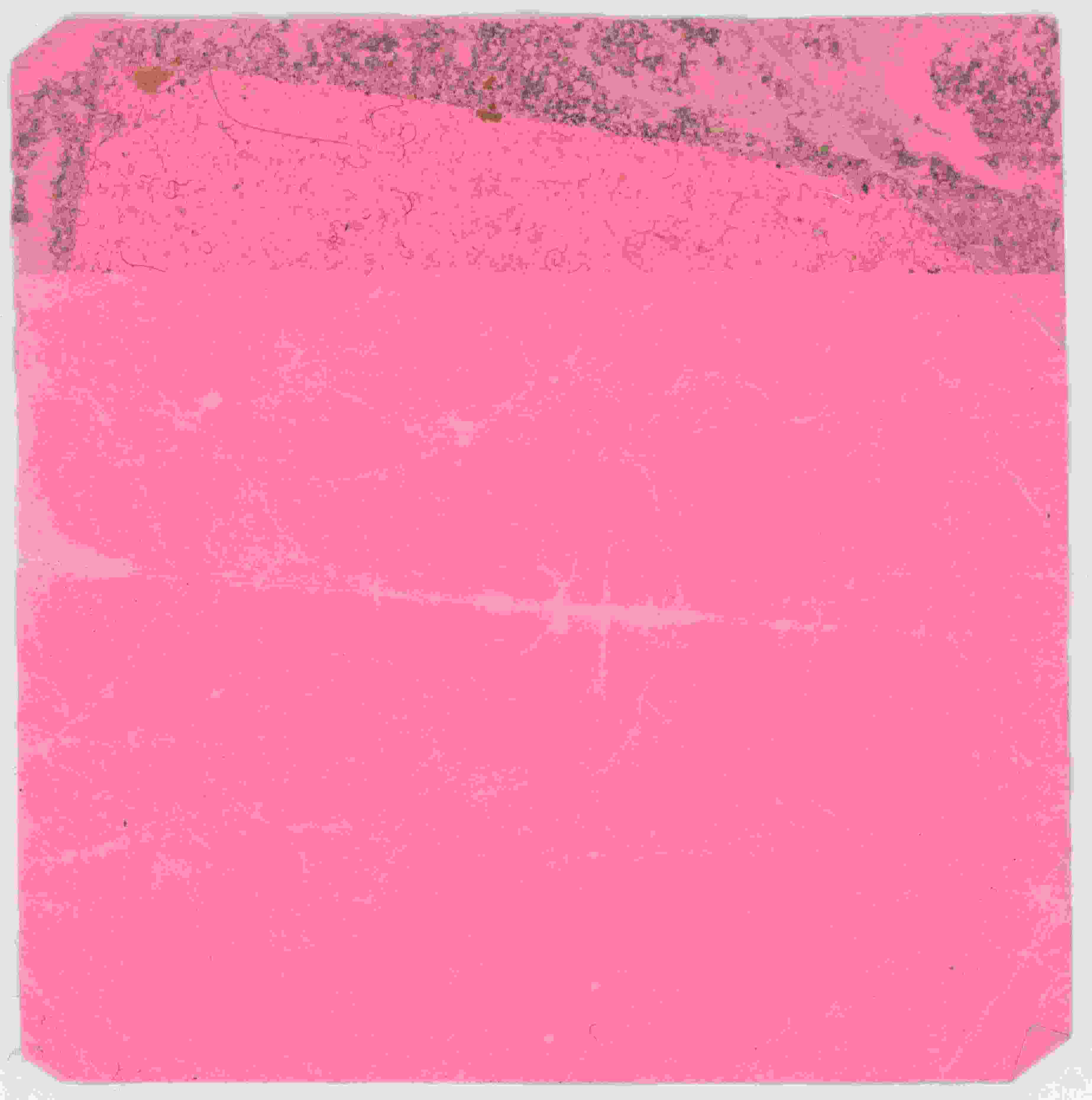 Note (planted green)_2.jpg