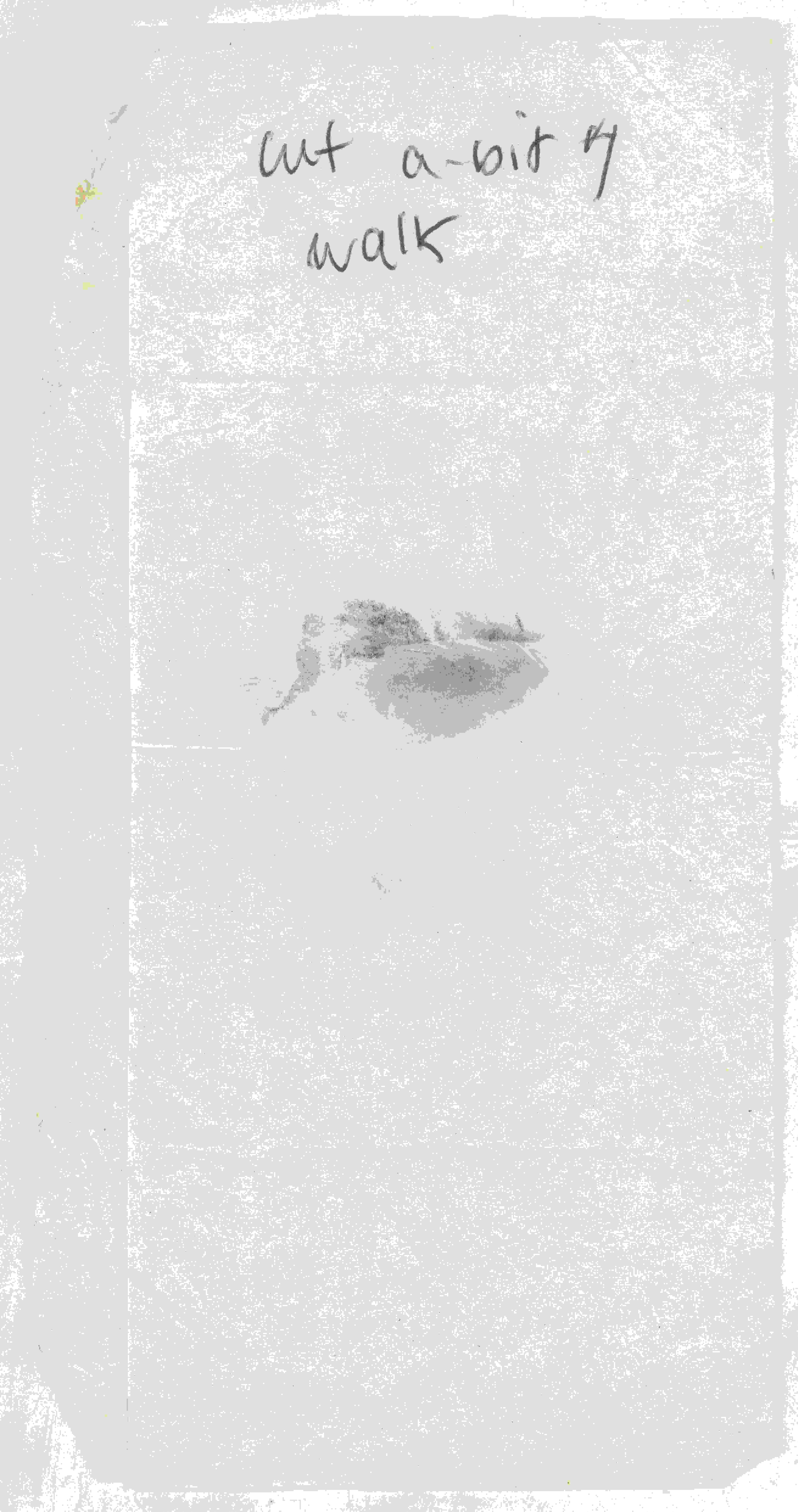 Note 13 (napkin closed)_2.jpg