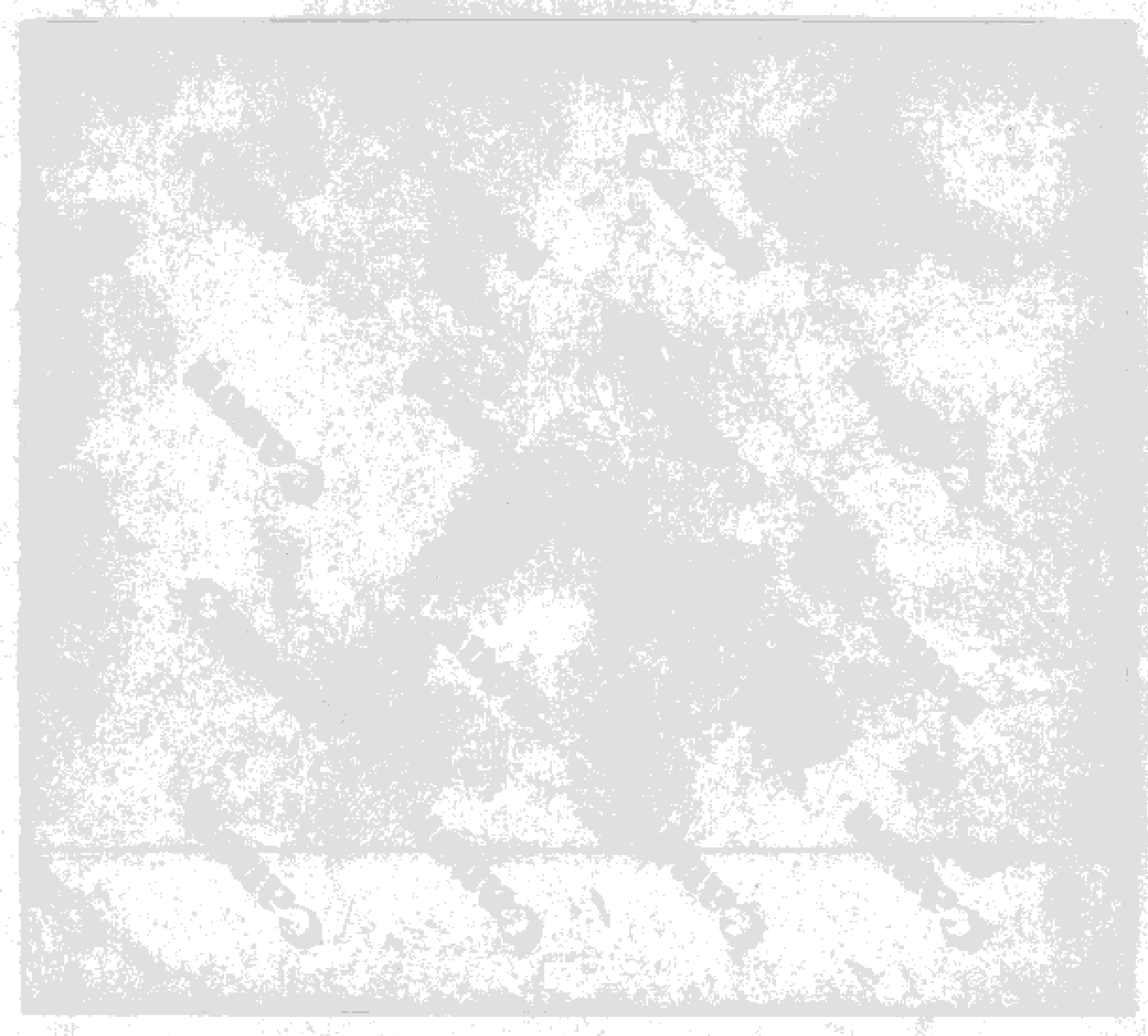 Photo (Al-Ave)_2.jpg