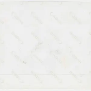 Photo (Al-Ave)_2.jpg