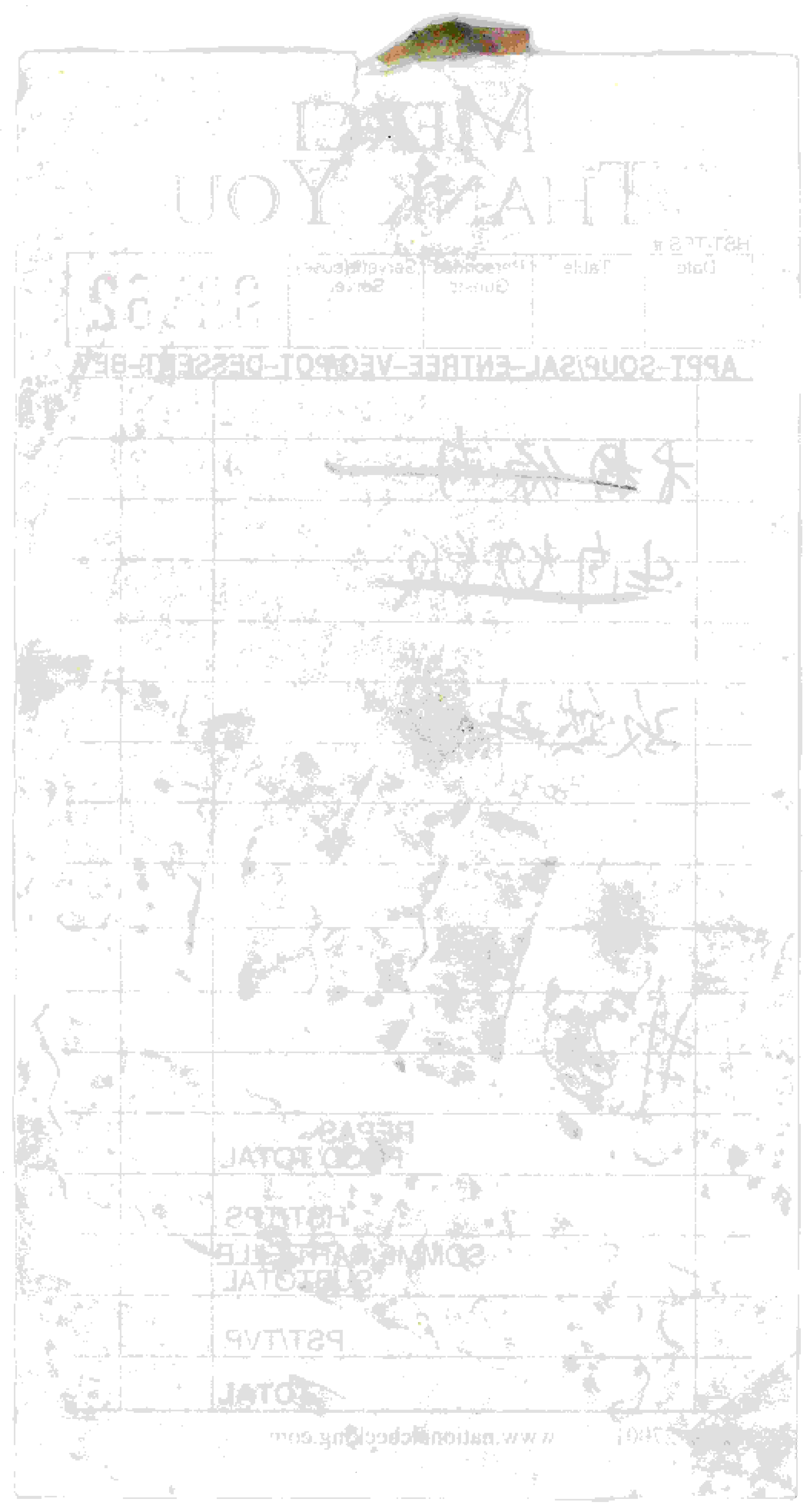 Receipt (food)_2.jpg