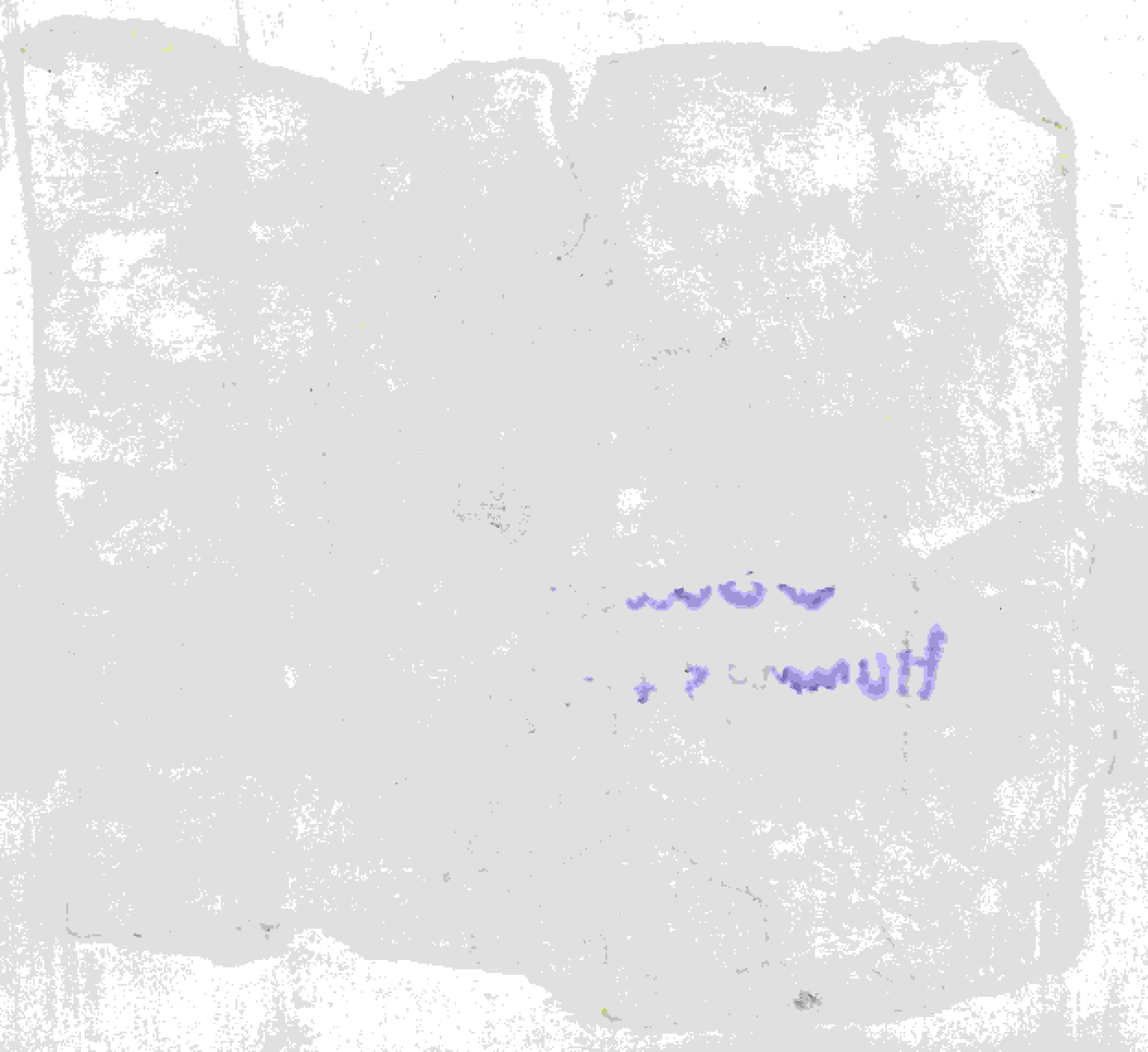 Shopping List 03_2.jpg