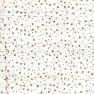 Wrapping Paper (stars)_1.jpg