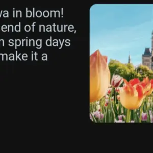 Screenshot_20250331-131852.png