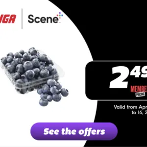 Screenshot_20250410-160616.png