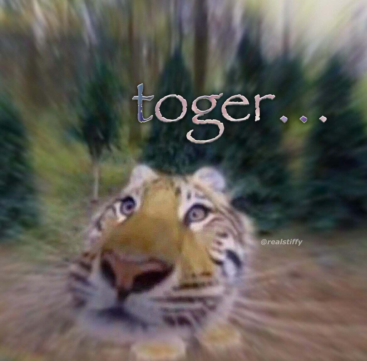 492476432_992979849622731_7575735478730182510_n.jpg