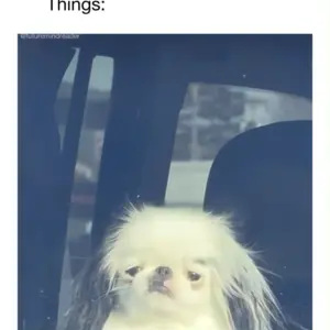 Screenshot_20250328-192842.png