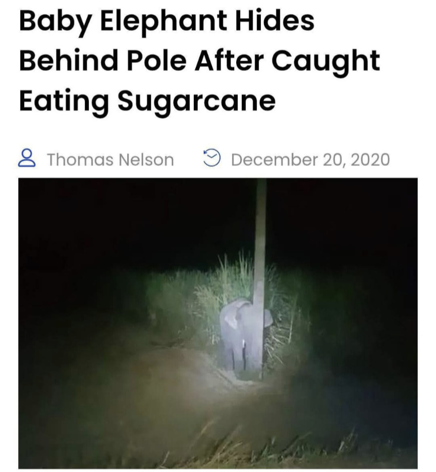 Screenshot_20250403-114756.png