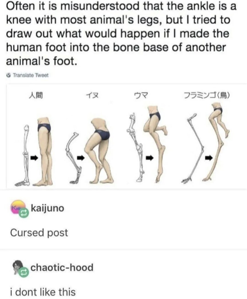Screenshot_20250530-184852.png