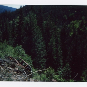 bc26_06.jpg